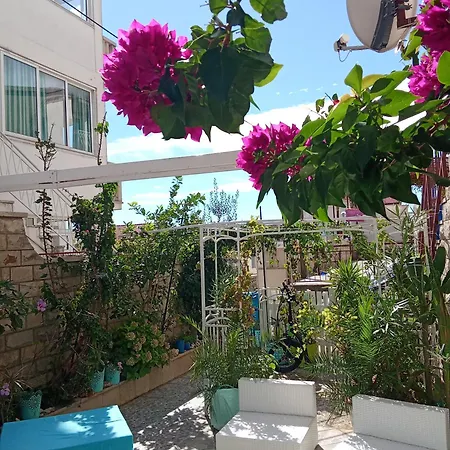 Blue Oasis 2-6 *